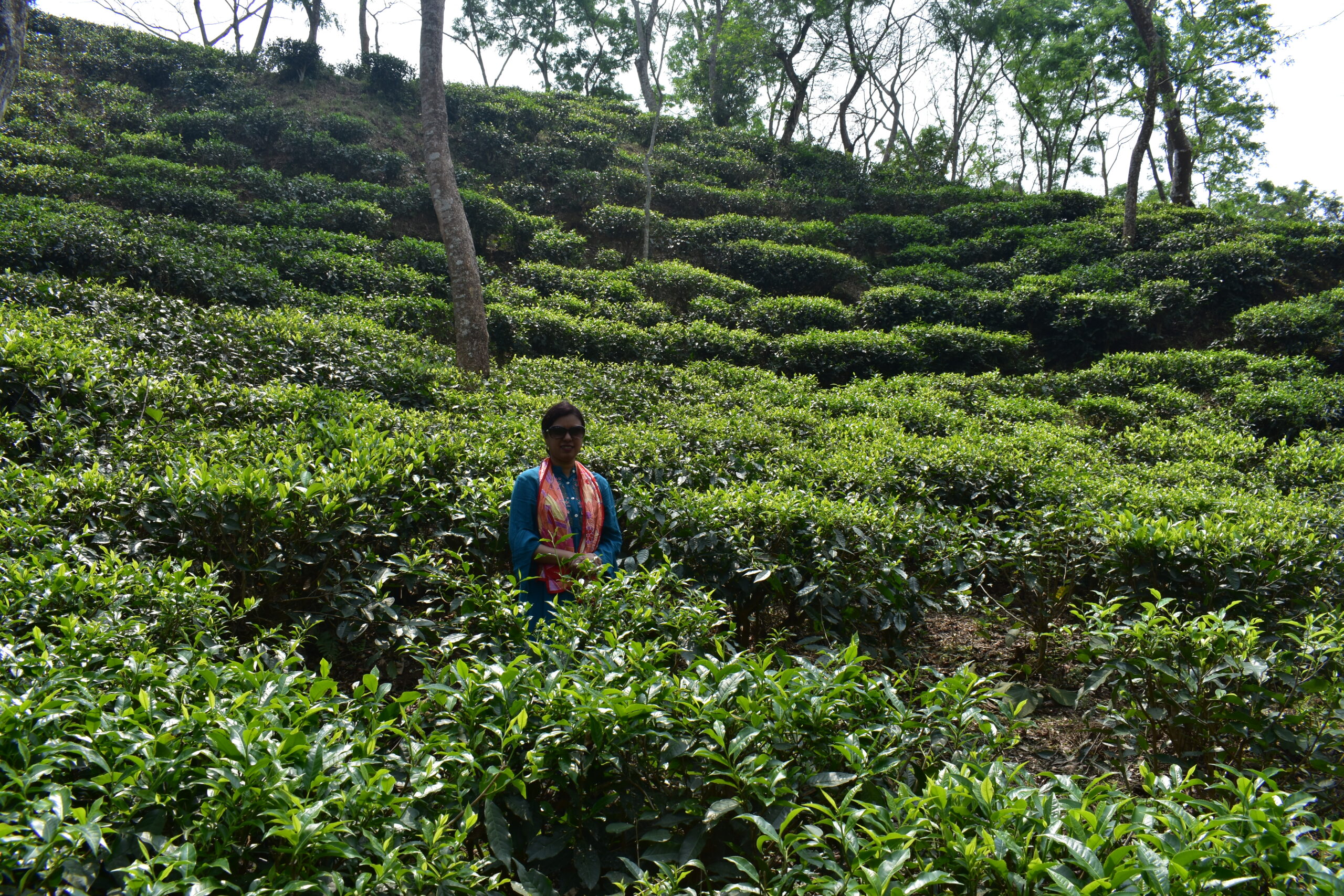 “Nurjahan-Tea-Garden to Lal-Pahar: A Rainy Family Odyssey”