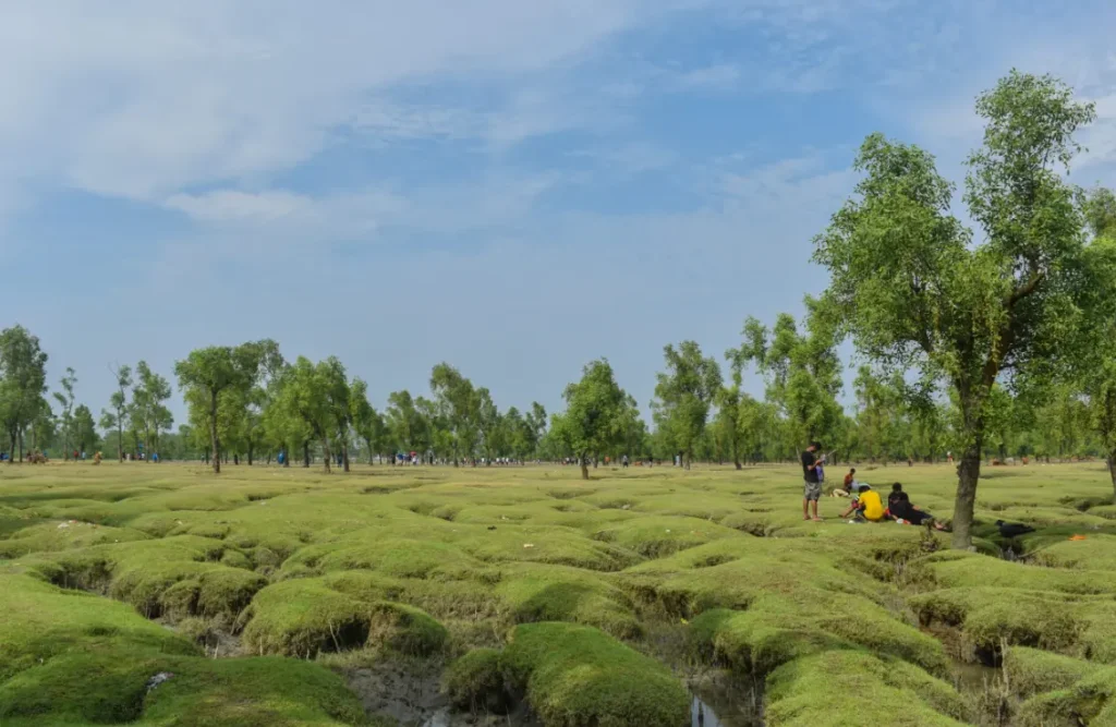 Guliakhali_Sea_Beach_Sitakundu