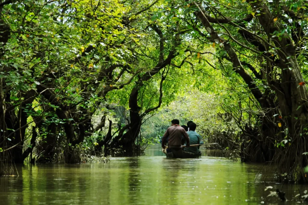 Ratargul_Swamp_Forest_Sylhet